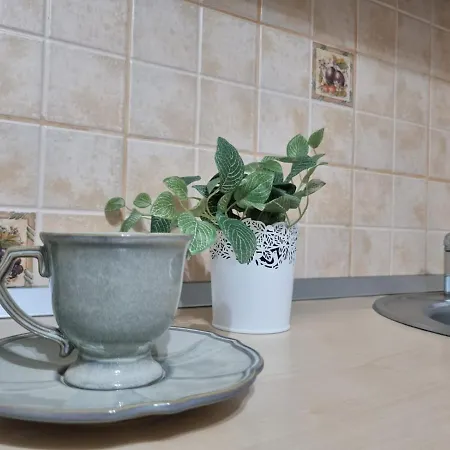 Apartament Thomas' Place -100m Parc Si Metrou Tineretului Bucureşti