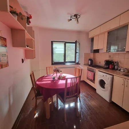 Апартаменты Thomas' Place -100m Parc Si Metrou Tineretului