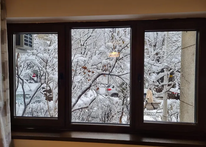 Thomas' Place -100m Parc Si Metrou Tineretului * ブカレスト