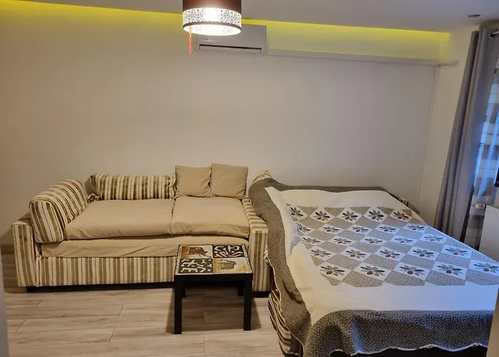 Thomas' Place -100m Parc Si Metrou Tineretului בוקרשט