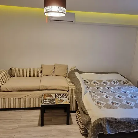 Thomas' Place -100m Parc Si Metrou Tineretului Bukarest